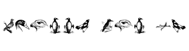 birds a  Free Fonts Download