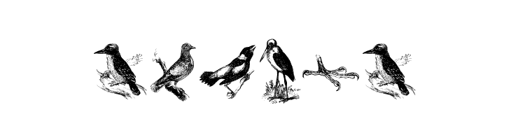 birds a  Free Fonts Download