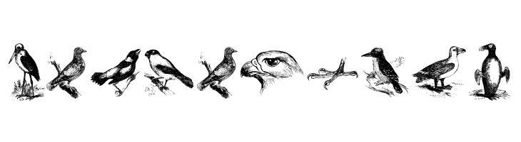 birds a  Free Fonts Download