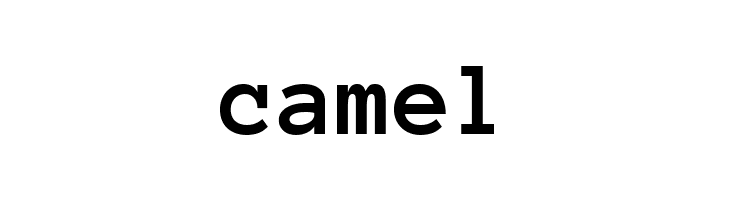 Anonymous Pro Bold  Free Fonts Download