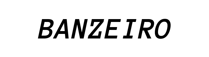 Anonymous Pro Bold Italic  Free Fonts Download