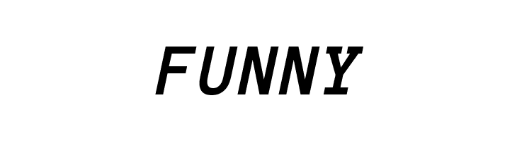 Anonymous Pro Bold Italic  Free Fonts Download