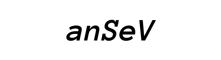 Anonymous Pro Bold Italic  Free Fonts Download