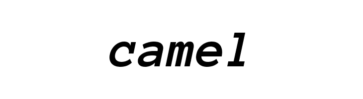 Anonymous Pro Bold Italic  Free Fonts Download