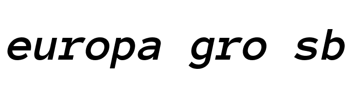 Anonymous Pro Bold Italic  Free Fonts Download