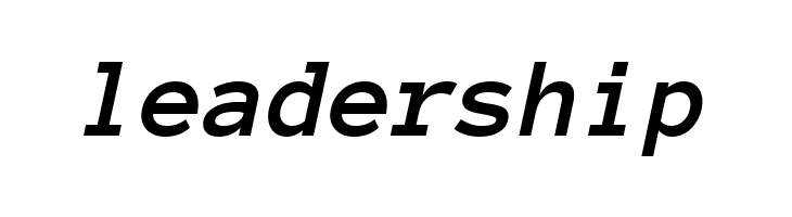 Anonymous Pro Bold Italic  Free Fonts Download