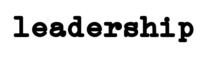 Erica Type Bold  Free Fonts Download