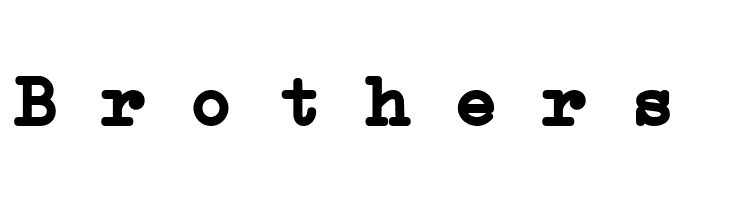 Erica Type Bold Italic  Free Fonts Download