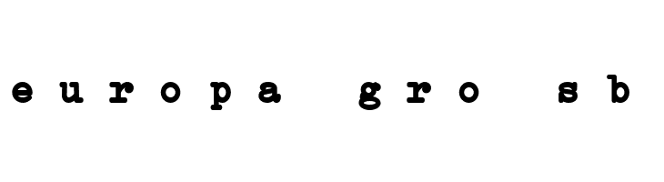 Erica Type Bold Italic  Free Fonts Download