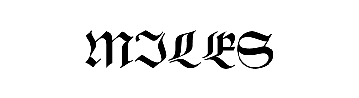 Schwaben Alt UNZ1A  Free Fonts Download