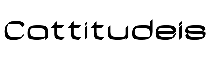 Casa Sans Fettig Bold  Free Fonts Download