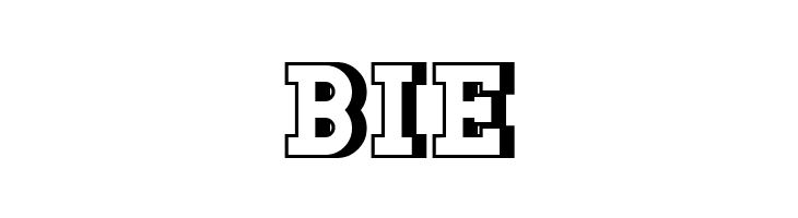 DoergonBackshift  Free Fonts Download