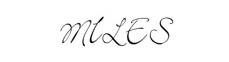 Elegant  Free Fonts Download