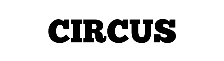 CIRCUS ChunkFive Font