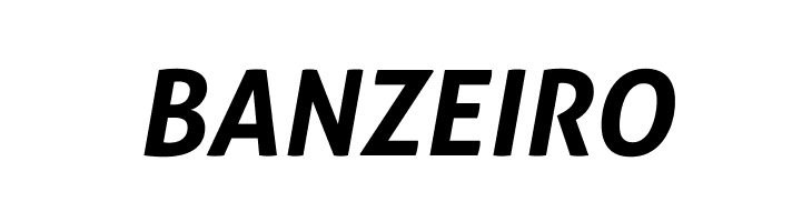 Aller Bold Italic  Free Fonts Download