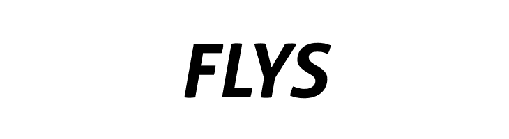 Aller Bold Italic  Free Fonts Download