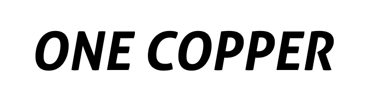 Aller Bold Italic  Free Fonts Download