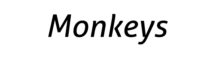 Aller Italic  Free Fonts Download