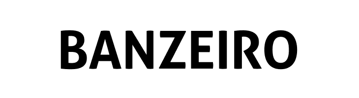 Aller Bold  Free Fonts Download