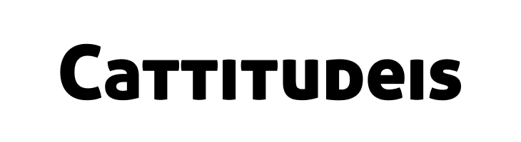 Aller Display  Free Fonts Download