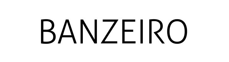 Aller Light  Free Fonts Download