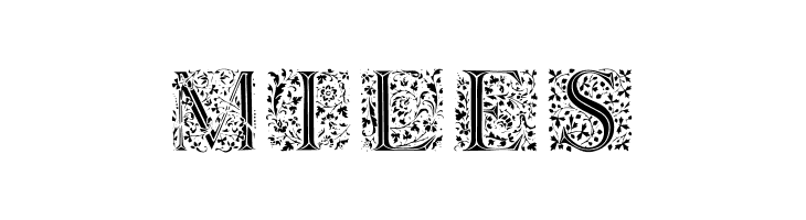 Floralalpha  Light  Free Fonts Download