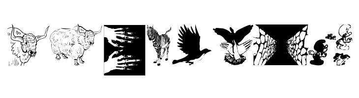 Signals  Free Fonts Download