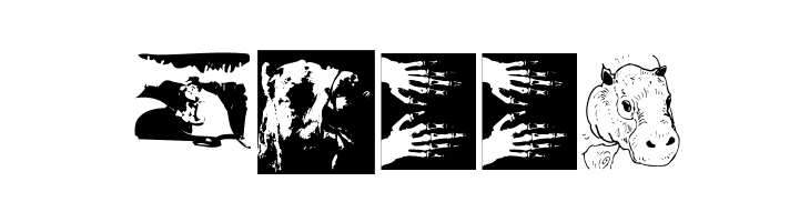 Signals  Free Fonts Download