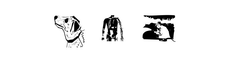 Signals  Free Fonts Download