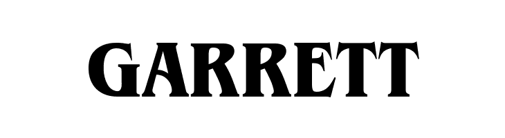 Brian James Condensed Bold  Free Fonts Download