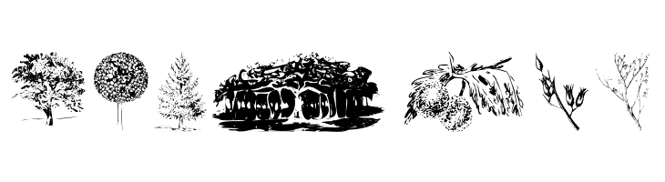 Botanicals  Free Fonts Download