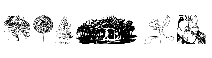 Botanicals  Free Fonts Download