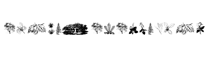 Botanicals  Free Fonts Download