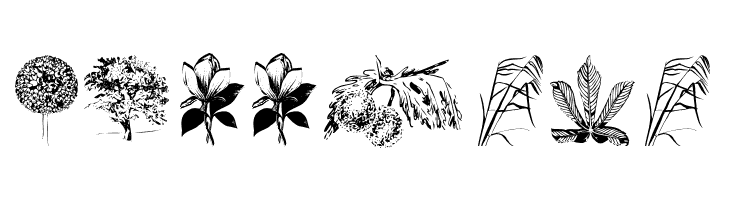 Botanicals  Free Fonts Download