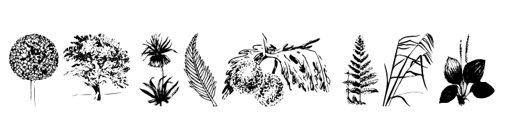 Botanicals  Free Fonts Download