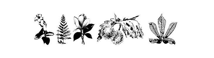 Botanicals  Free Fonts Download