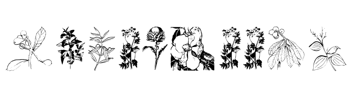 Botanicals  Free Fonts Download