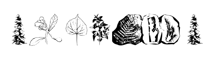 Botanicals  Free Fonts Download