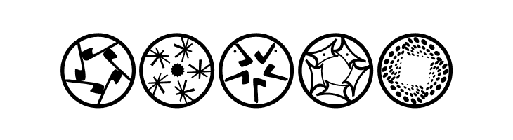 TypographicRosettas  Free Fonts Download