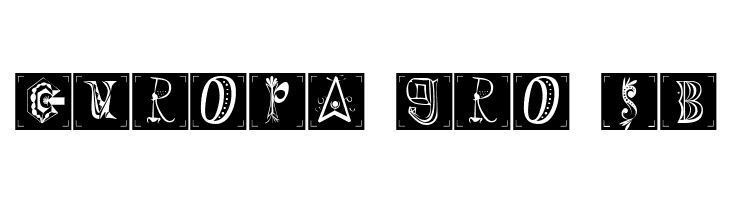 Ermir Normal  Free Fonts Download