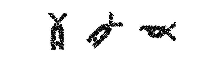 Caviarbats  Free Fonts Download