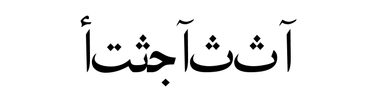 ArabicNaskhSSK  Free Fonts Download