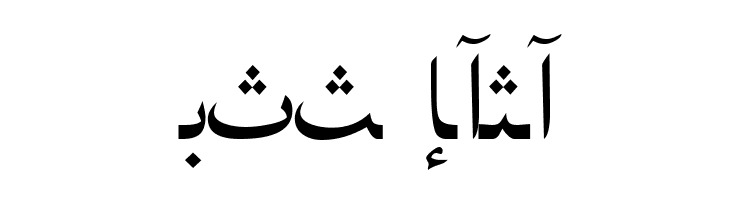ArabicNaskhSSK  Free Fonts Download