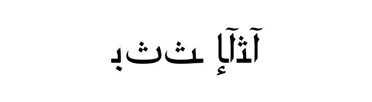 ArabicRiyadhSSK  Free Fonts Download