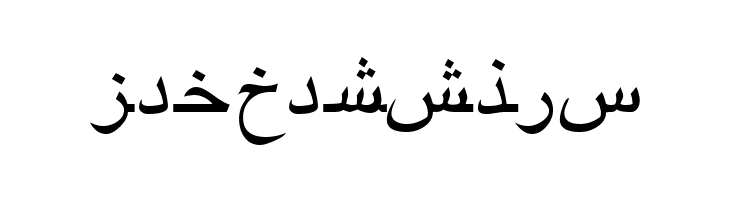 ArabicRiyadhSSK  Free Fonts Download