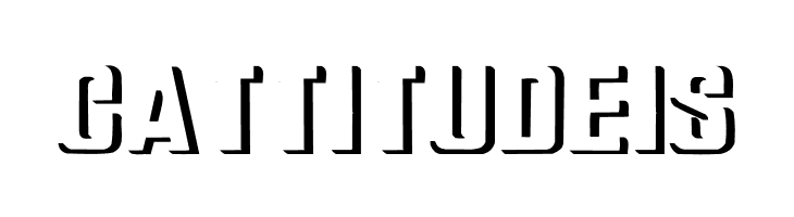 Relief Grotesk Bold  Free Fonts Download