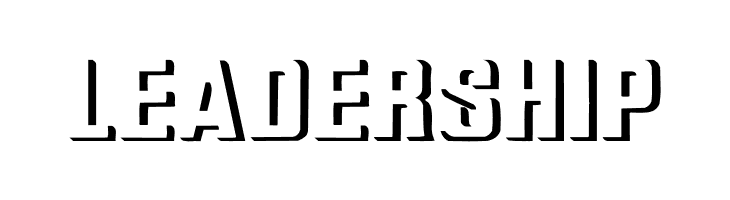 Relief Grotesk Bold  Free Fonts Download