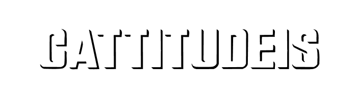 Relief Grotesk  Free Fonts Download