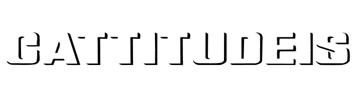 Relief Grotesk Extended  Free Fonts Download