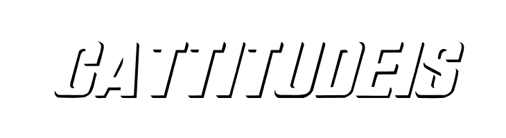 Relief Grotesk Italic  Free Fonts Download